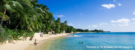 Barbados - Apple Resort Vacation