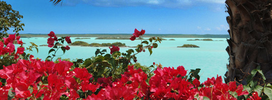 Turks and Caicos - Apple Resort Vacation